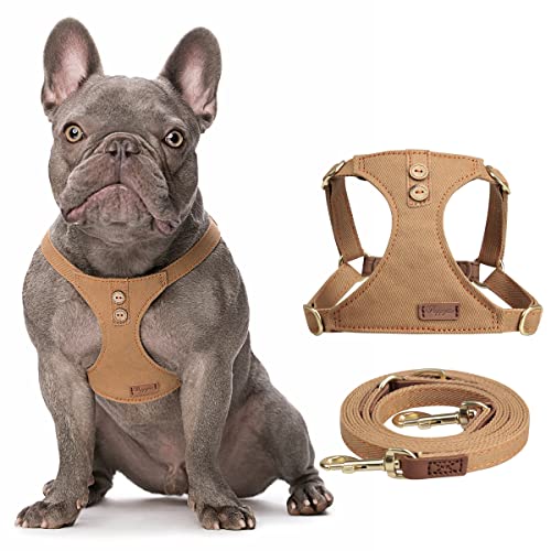 No Pull Small Dog Harness with Multifunction Dog Leash,Lightweight Soft Adjustable No Choke Escape Proof Pet Harness…